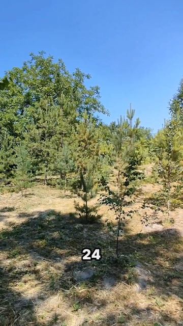 ЗАГОРОДНЫЙ УЧАСТОК У МОРЯ В АНАПЕ. УЧАСТОК ПОД СТРОИТЕЛЬСТВО ДОМА. ВАРВАРОВКА. МОРЕ 2КМ.
