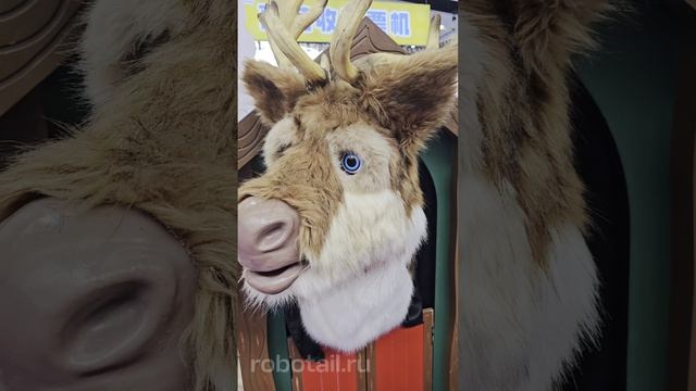 Музыкальные игрушки аниматоры
