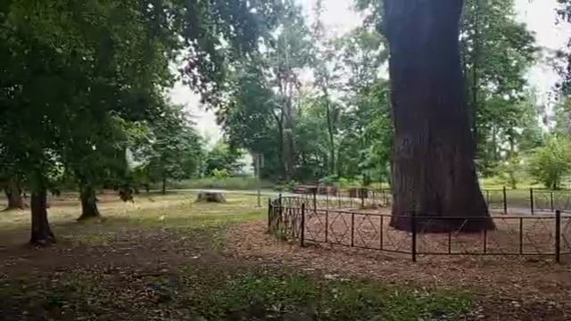1000008025.mp4