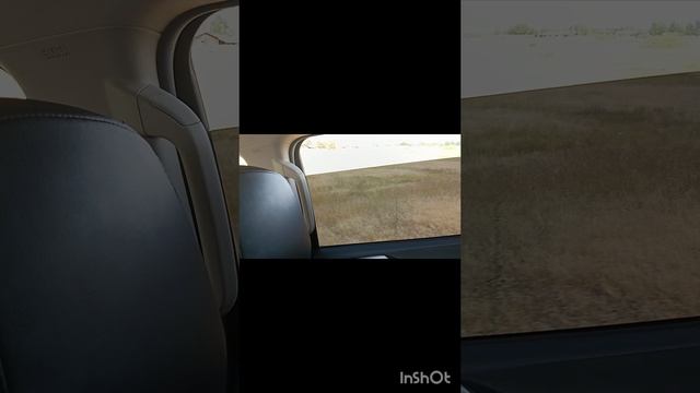 поехали в Астрахань