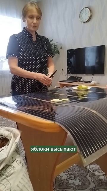 Лучшая сушилка для яблок.