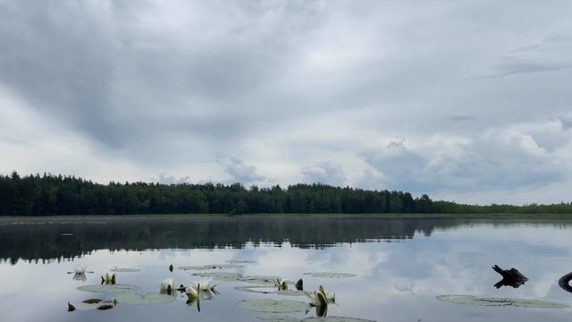 Озеро "Ласковское" Рязанская область