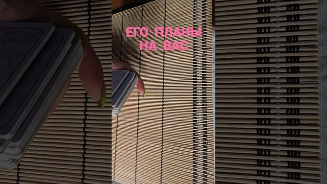 ЕГО ПЛАНЫ НА ВАС