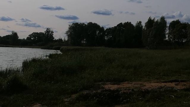 10.06.2025.Усадьба Парк Кино Ляхово. Парк Кошек.Домодедово.Московская область. Обзор пляжа на нижнем