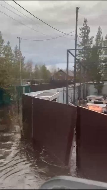 Тарко Сале потоп на дачах 2