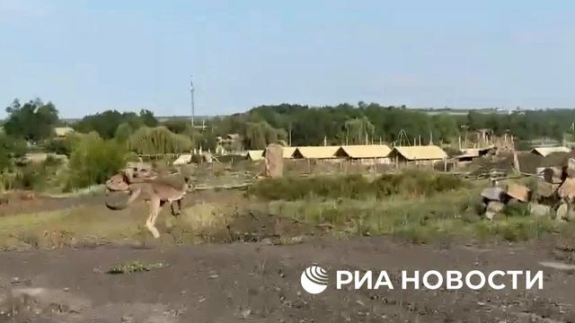 🦘Сбежавшего кенгуру  аккуратно поймали и вернули в зоопарк Малинки в Ростовской области
