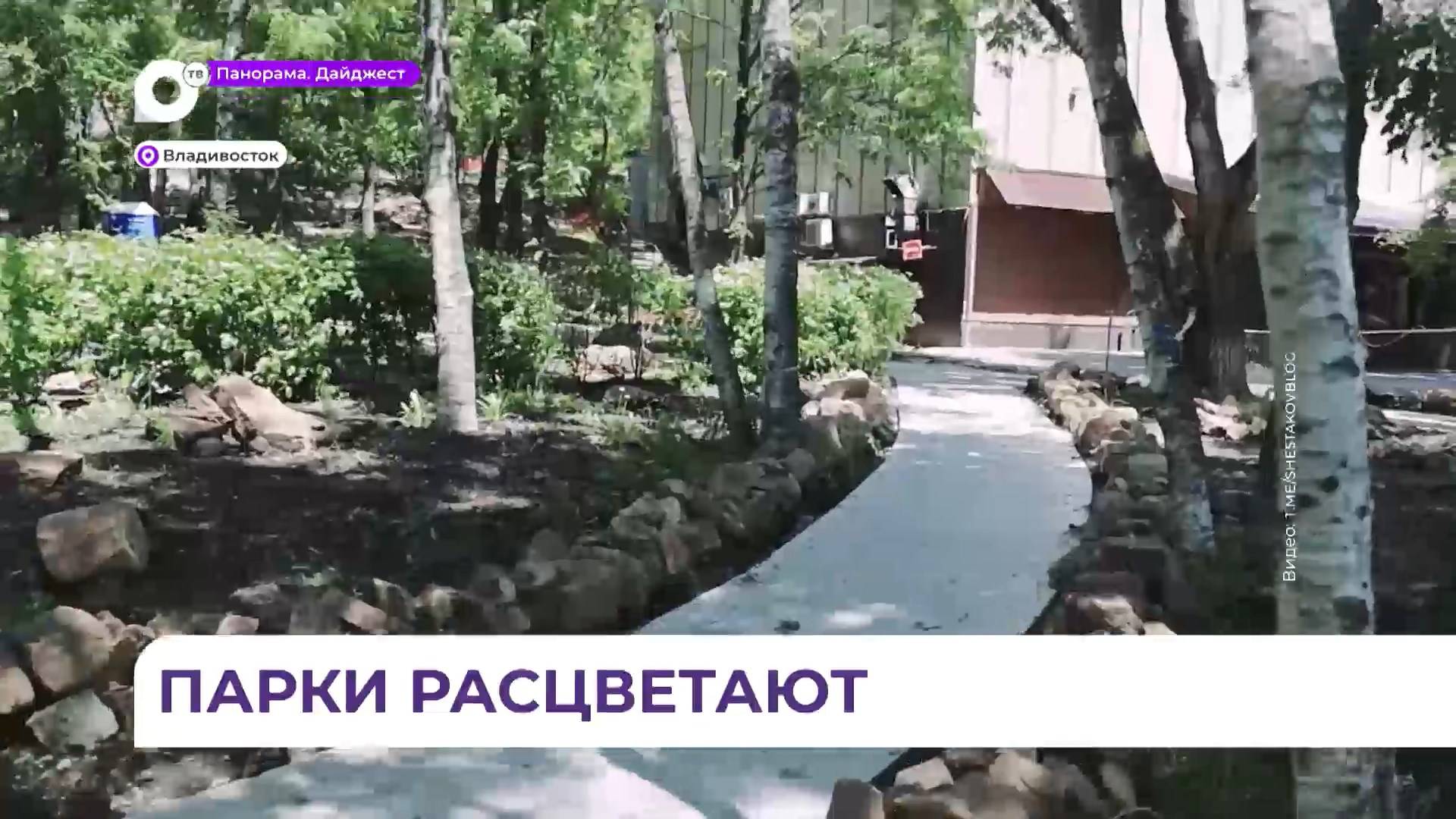 Во Владивостоке продолжается благоустройство парков и скверов