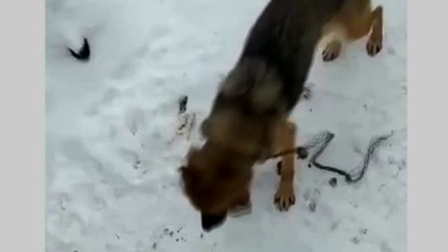 Одни счастливы, других не спасли...