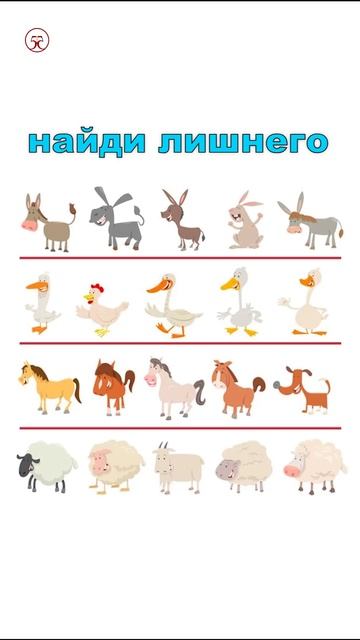найди лишнего