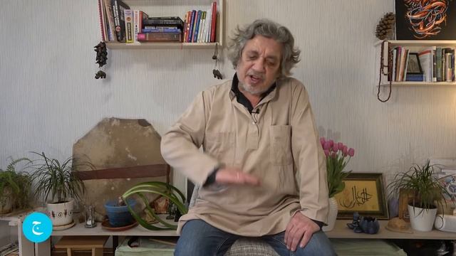 Глава 14. Почему болит наше тело?