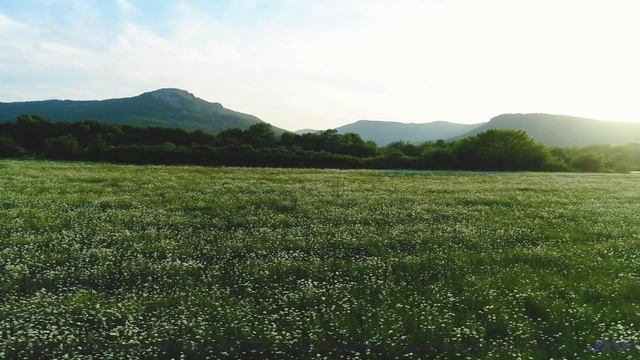 Эта композиция - как шёпот в темноте, от которого дрожь... - Oopsy Daisy (Instrumental) -- Forget th