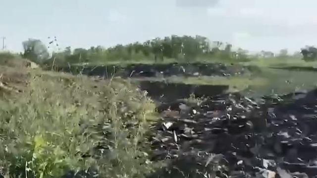 Сбежавшего в Ростовской области кенгуру поймали, кстати.
