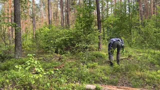 От дикой природы до уютного хутора мой лесной друг кабан.