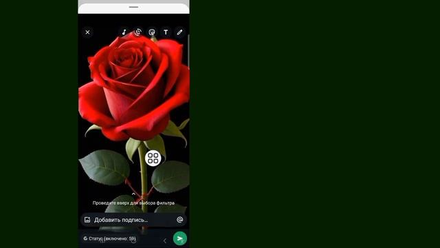 Как добавить музыку в статус WhatsApp (новое обновление 2025