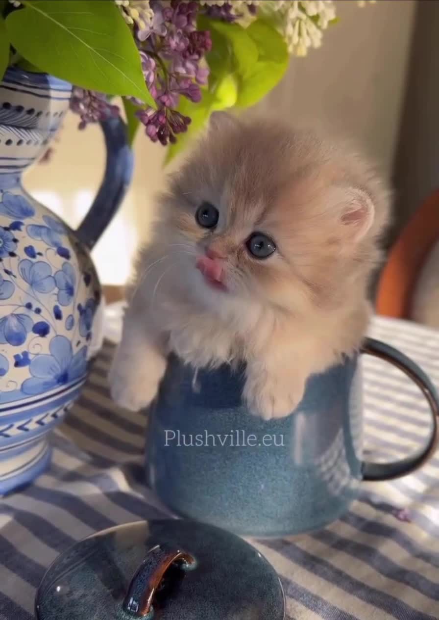 Подпишись 👉 https://vk.com/ykrasheniy_iz_kamny