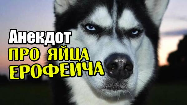 Анекдот про слугу Ивана и яйца Ерофеича. Новый, свежий анекдот. Смешная шутка.