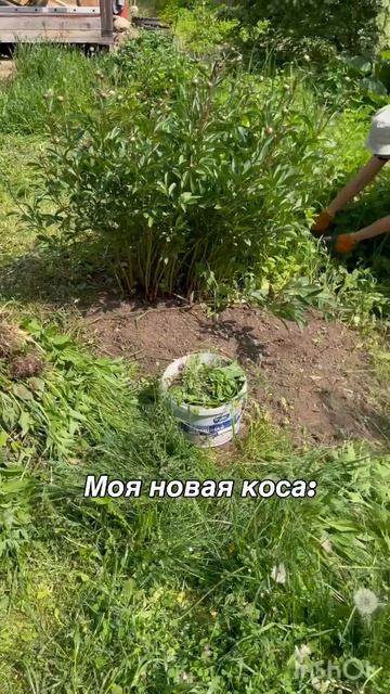 Основано на реальных событиях 😂