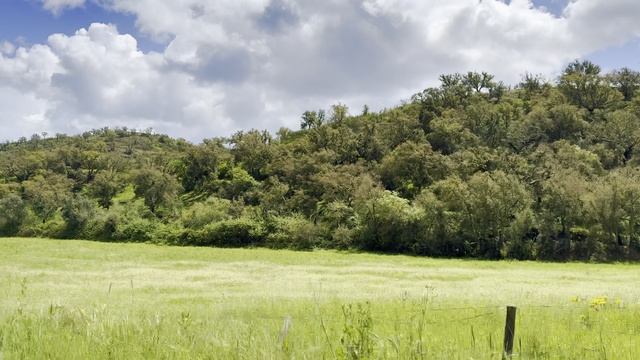 На машине по дорогам Португалии