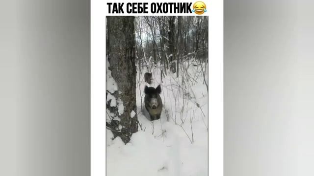Супер приколы 26