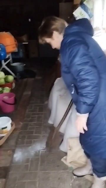 Как мы готовим грядки к зиме? #огород #земледелие  #мульчирование