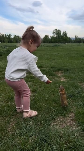 🔴 Какая прелесть 🥰🥰