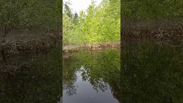 1000021898.mp4