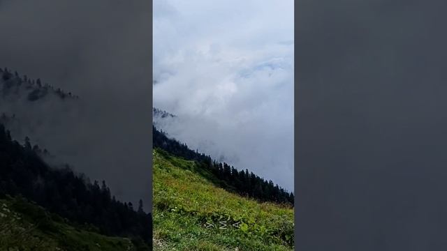 В горах Абхазии. Видео Надежды Деевой