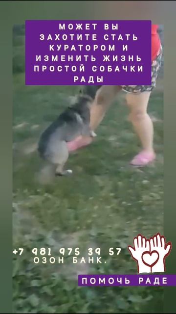 вы можете помочь Раде, пожалуйста