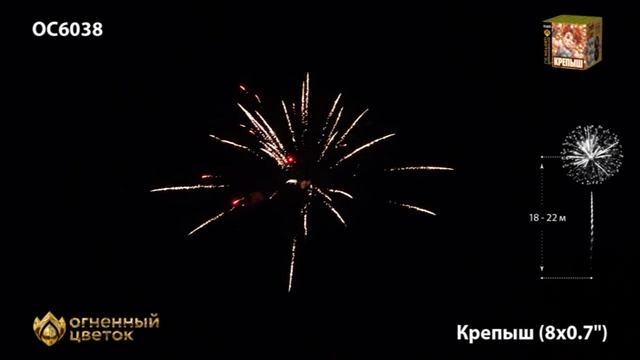 ОС6038