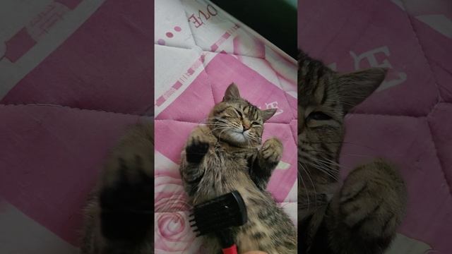 К утру случилось очередное Чудо! Спасибо волшебникам за помощь!
