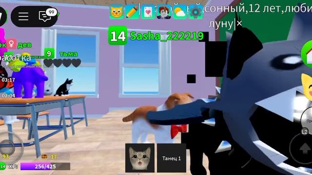 1000008805.mp4