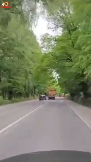 Подборка ДТП и аварий, снятых на видеорегистратор