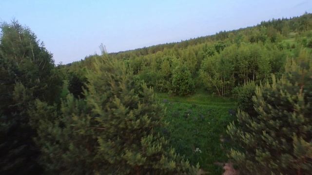 09.06