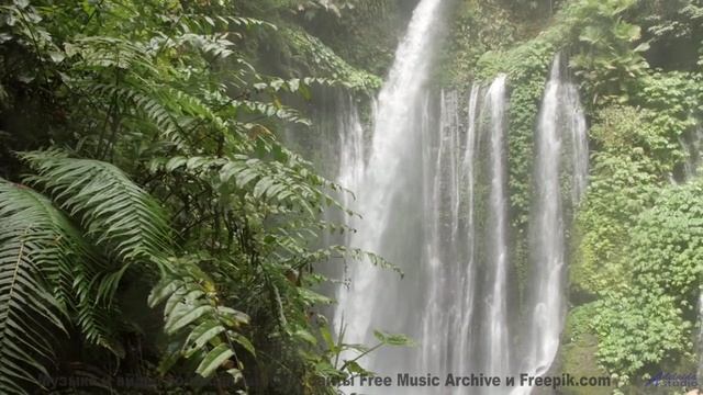 Мелодия, которую играют только духи! - Tired -- Lolique -- Unnamed album
