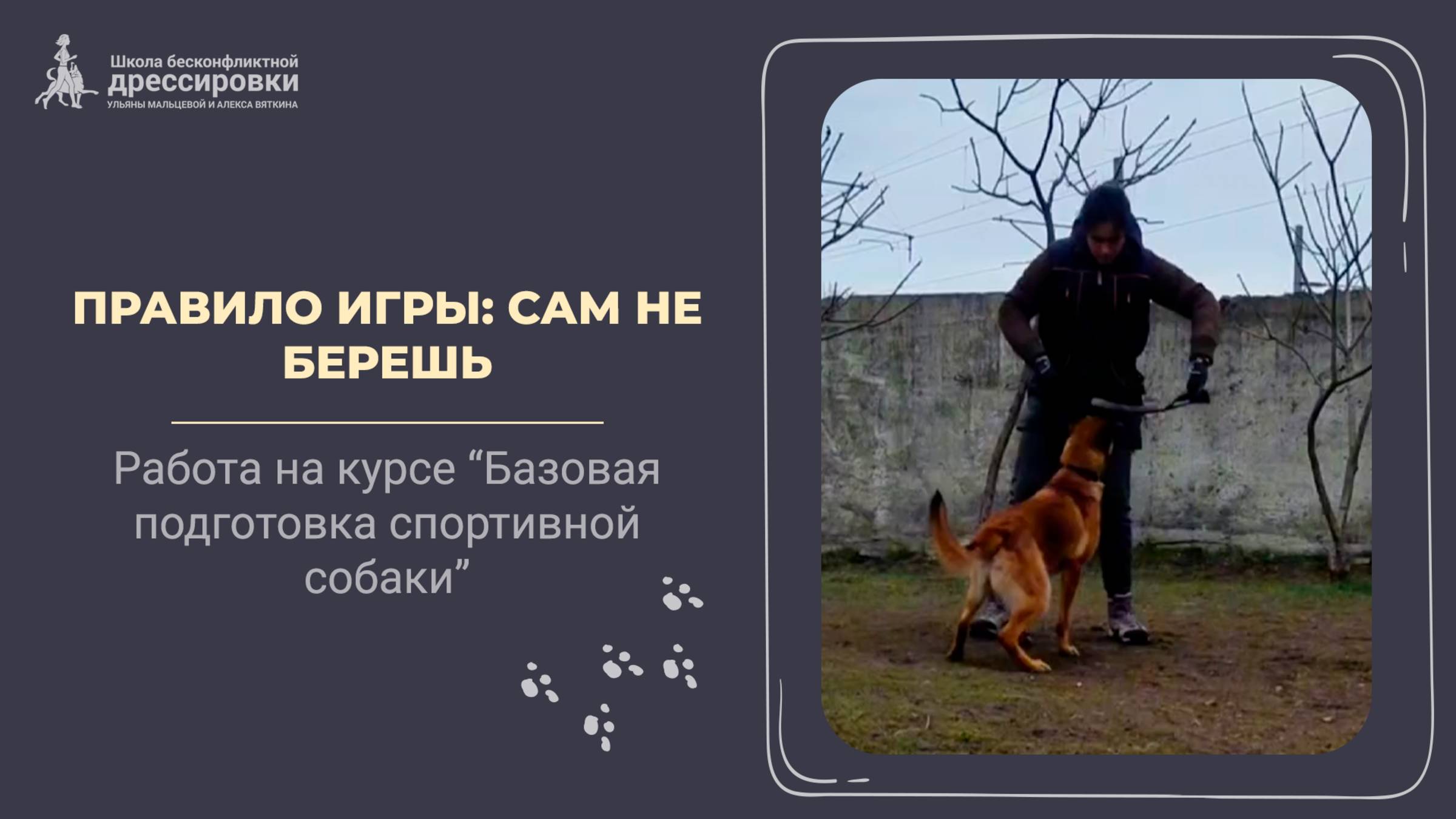 Правило игры с собакой: "Сам не берешь"