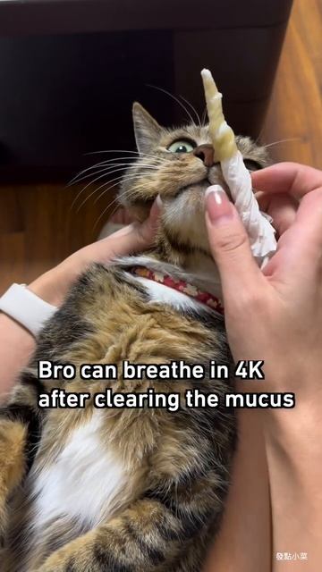 AQPX5MiS5_lSxbw1qJvfuI1WGKsLq0XR9o9UgQEHbnN8rUrcLIbq5T1Yc_qiMfG