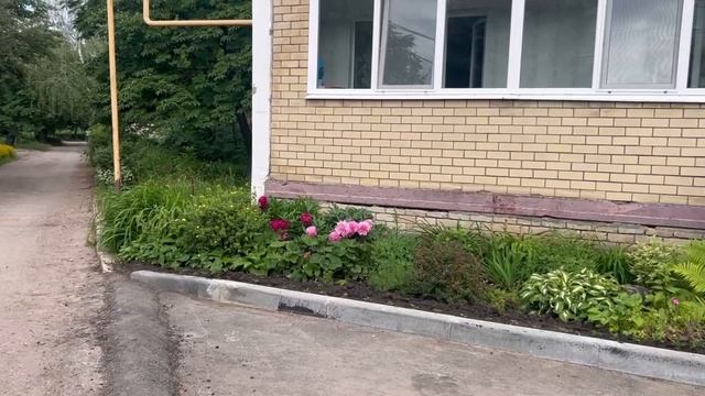 Панков: Жители Волжского района рады включению междворовых территорий в депутатский проект Володина