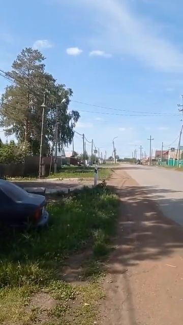 8203894(1)