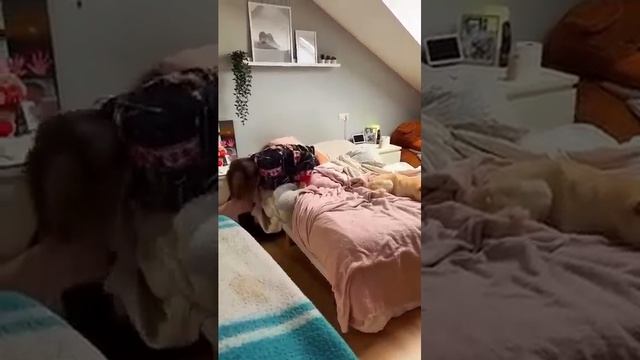 Part 191 😂😂 #foryou #videofunny #videoshort #videoviral #fypage #fypviralシ #fyp #funny #fory