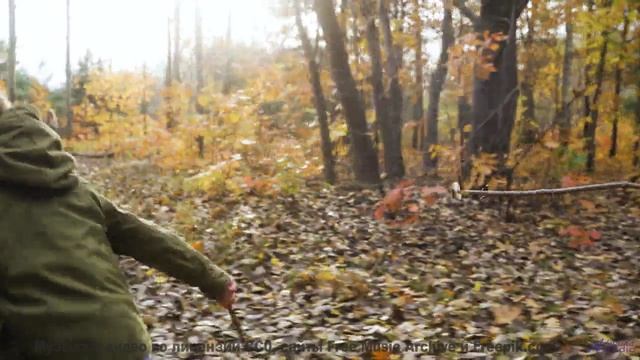 Эти места скрывают тайны - а музыка их раскроет! - Small Victory -- Steve Combs -- Speaking in Spira