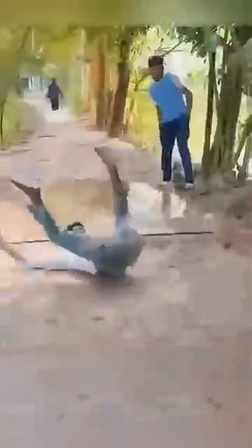 Подборка смешных видео 😅😅😅