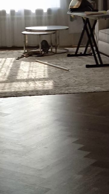 VID_20250610_084825.mp4