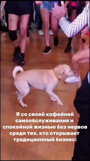 Тратишь много нервов, работая на себя?