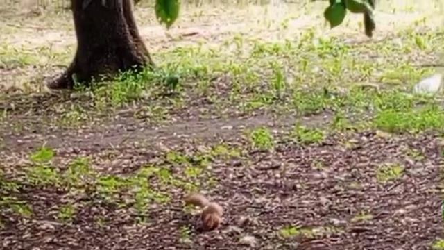 1000008032.mp4
