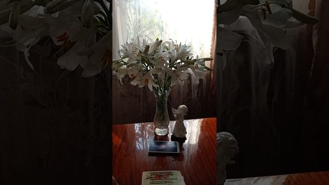 Таро.Новости для вас.