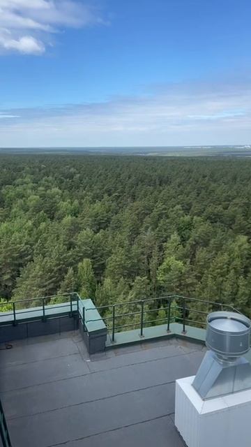 серебряный бор