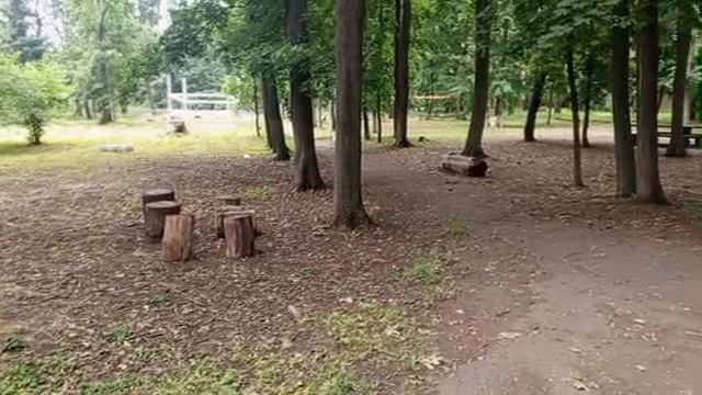 В парке #Тамбов