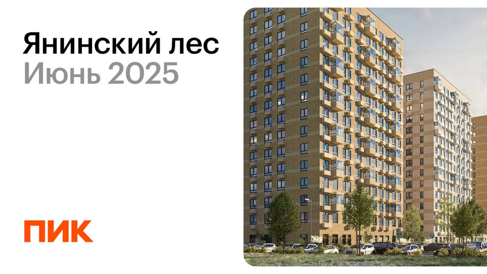 Янинский лес