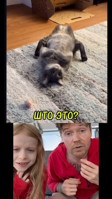 ШТО ЭТО?