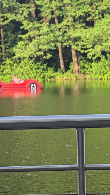 #пехорка #балашиха #река #reells #margo #short #shorts #river #board #nature #forest #beauty #happy